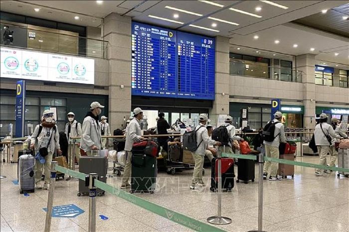 Lao động Việt Nam nhập cảnh tại sân bay Incheon (Hàn Quốc). Ảnh minh họa: TTXVN